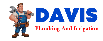 Trusted plumber in SANTIAGO